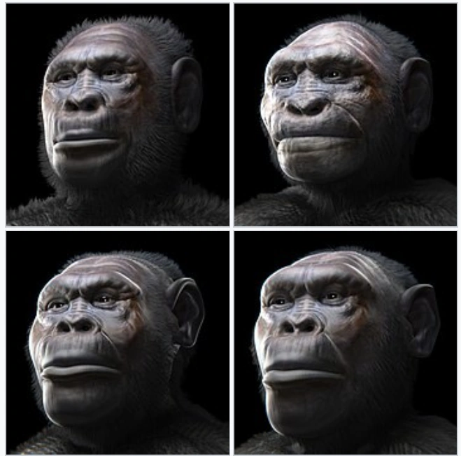 Homo Prehistoric Wiki Fandom