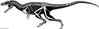 Gualicho Skeletal Reconstruction