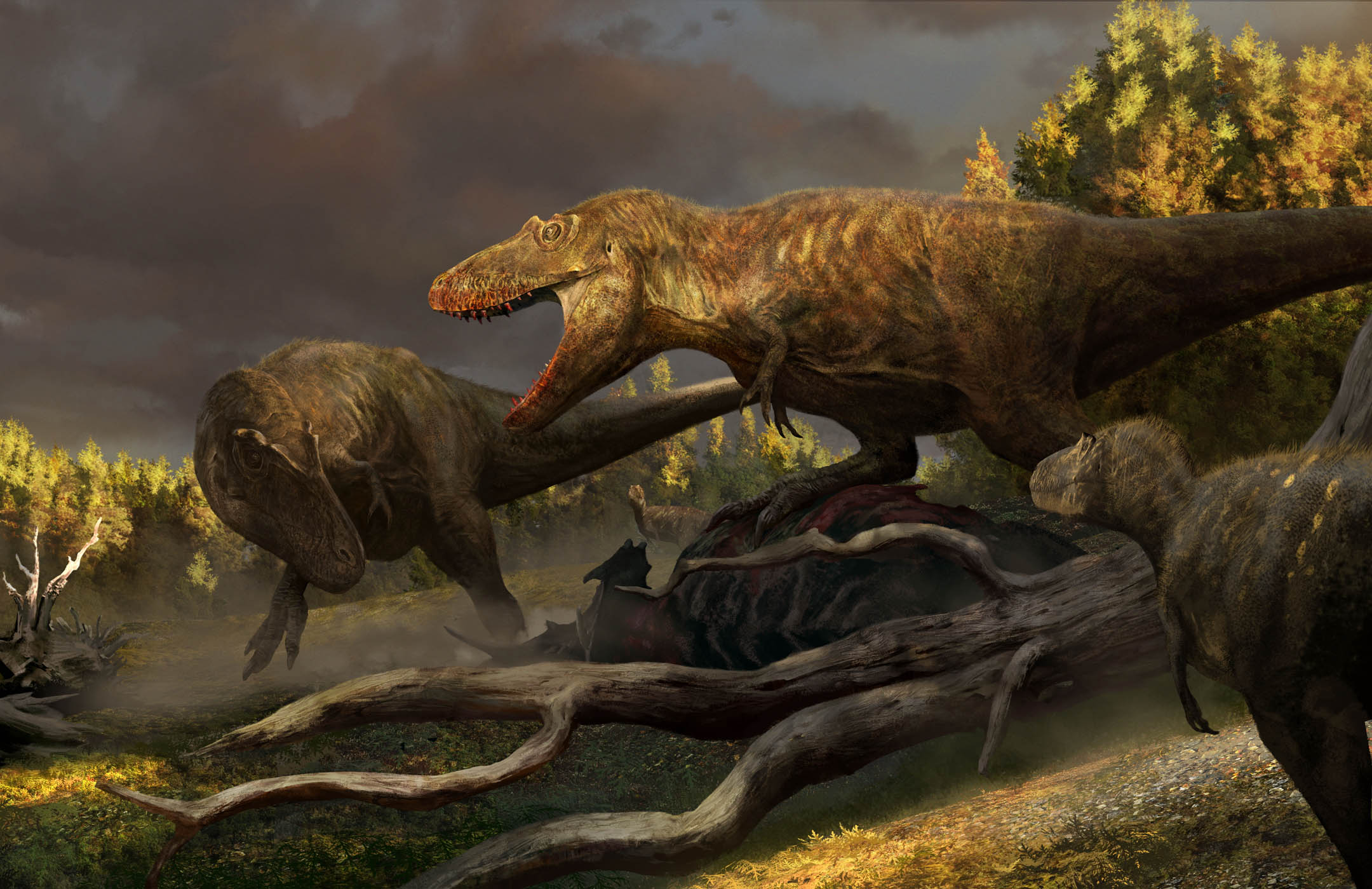 Daspletosaurus : tout savoir sur le cousin effrayant du T. rex