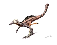 Credit: @ildarotyrannus on Twitter.