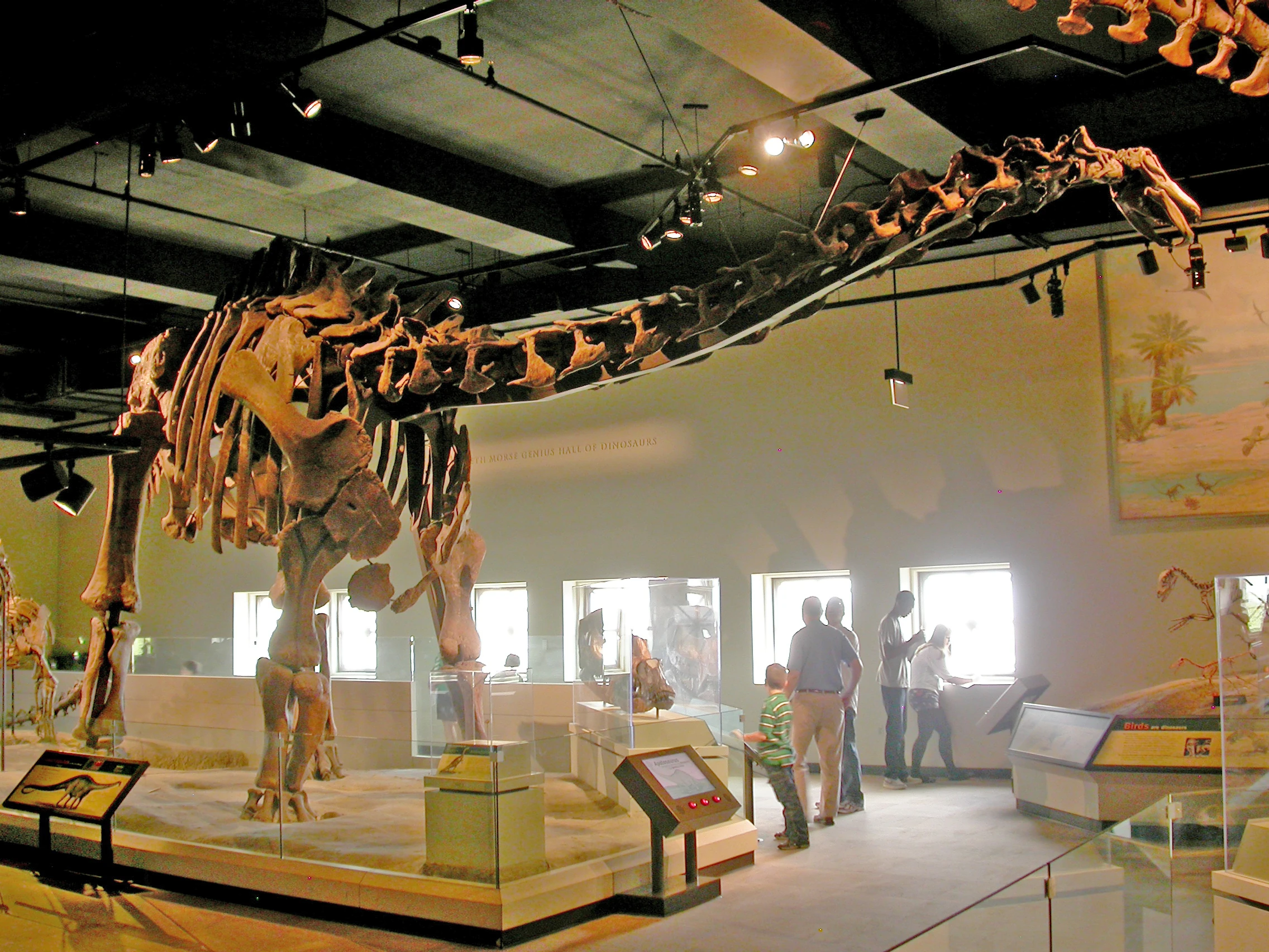 置物 out of museum 76950939007-ak-241204-9167.jpg