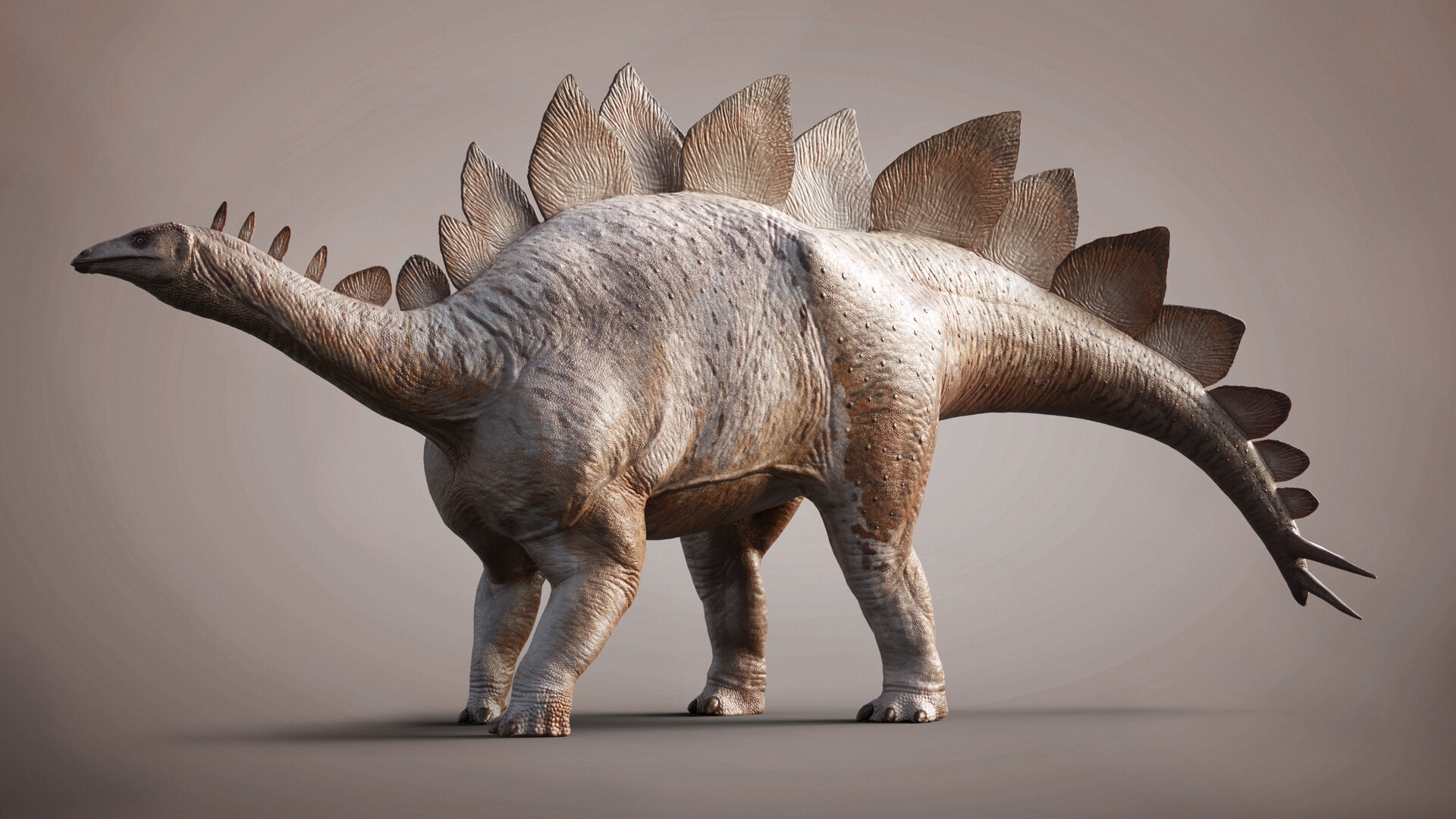 Realistic Dinosaur Figure Stegosaurus 8.5" NWT 