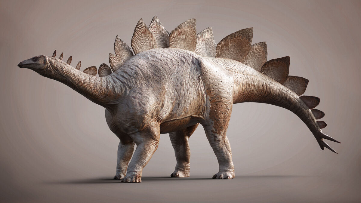 https://static.wikia.nocookie.net/prehistoric-wiki/images/6/69/Stegosaurus3.jpg/revision/latest/scale-to-width-down/1200?cb=20220124213932