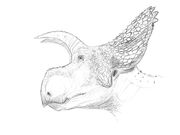 Menefeeceratops