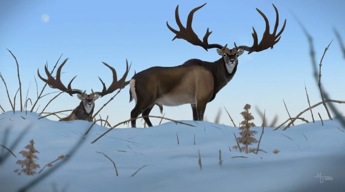 Megaloceros Prehistoric Wiki Fandom