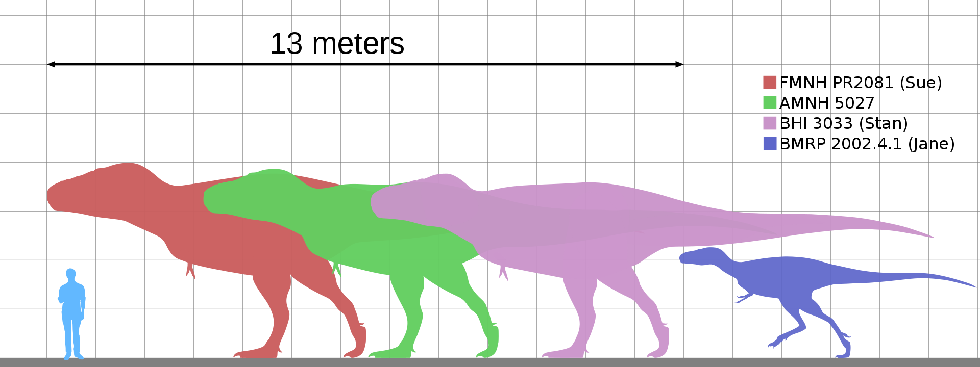 Tyrannosaurus, Prehistoric Wiki