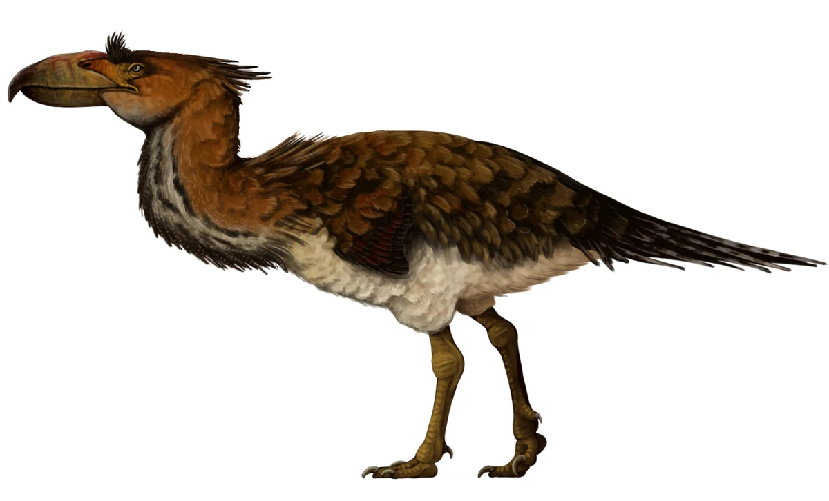 Kelenken Prehistoric Wiki Fandom