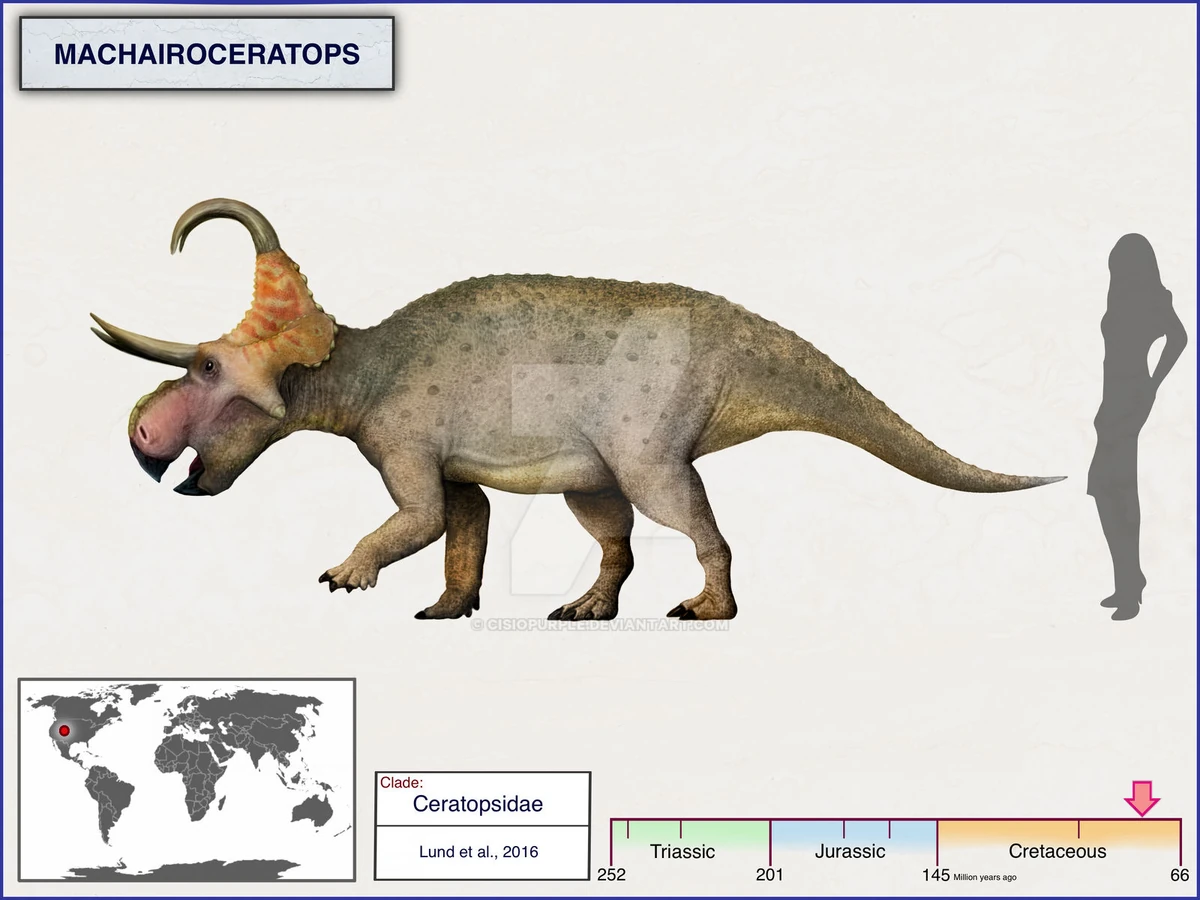 Machairoceratops | Prehistoric Wiki | Fandom
