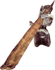 Thagomizer (spike)