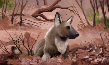 Protocyon Prehistoric Wiki Fandom