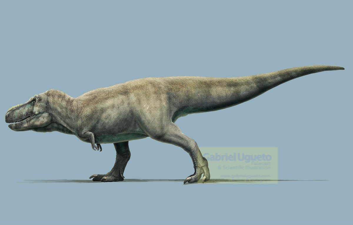 тарбозавр вики фэндом фото 1