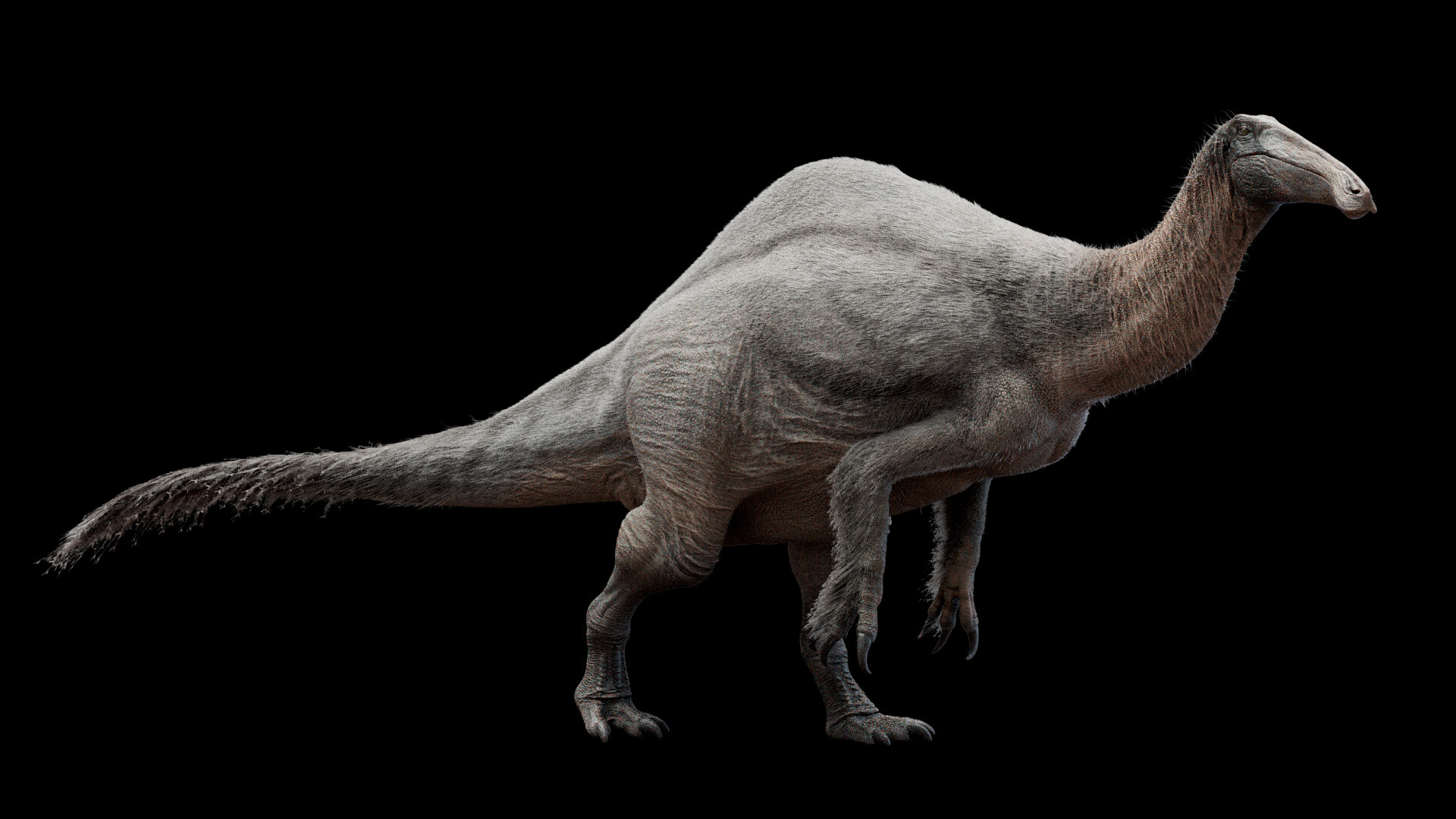 Deinocheirus mirificus, a prehistoric era dinosaur from