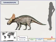 Turanoceratops cisiopurple