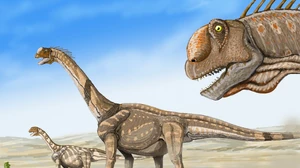 Life reconstruction of Camarasaurus supremus.png