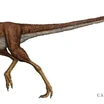 Compsognathus