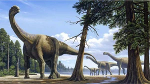 Illustration of Camarasaurus herd at the forest.png