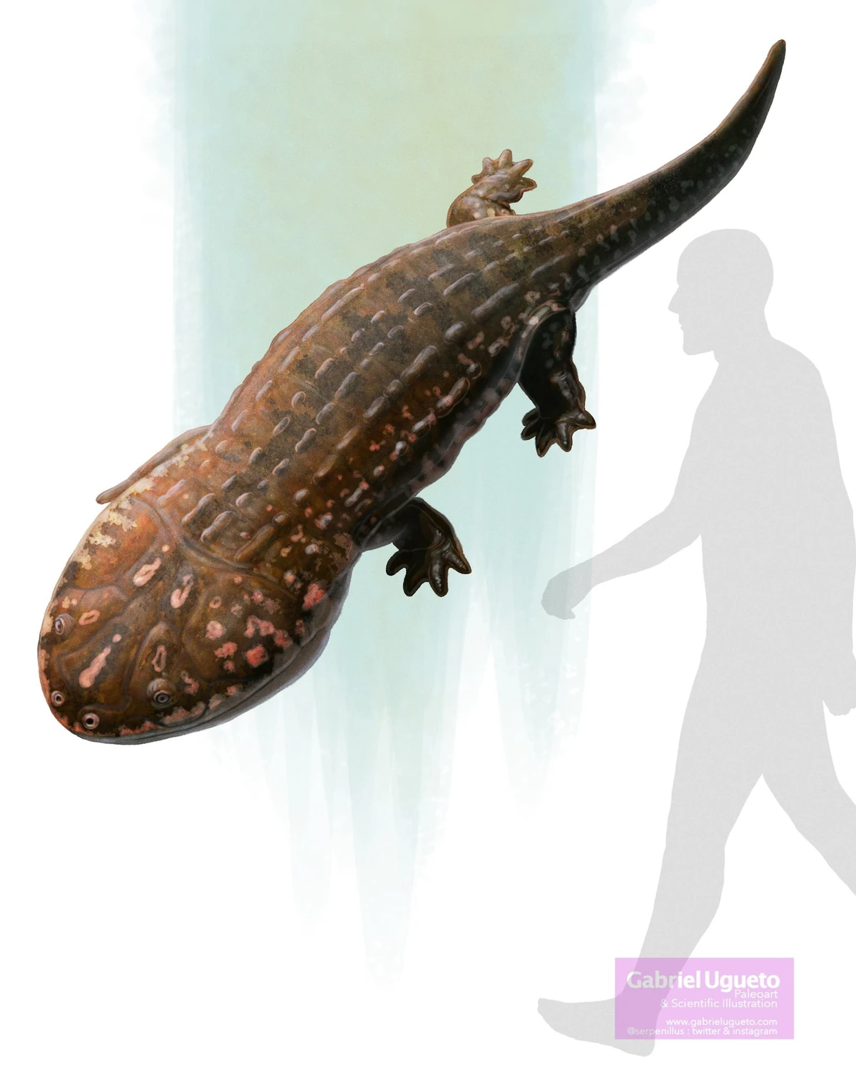 Siderops Prehistoric Wiki Fandom