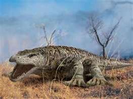 Megalania pic