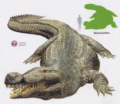 What's the difference between a deinosuchus and sarcosuchus? Are