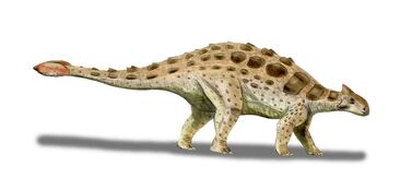 Ankylosaurus palaeocritti.jpg