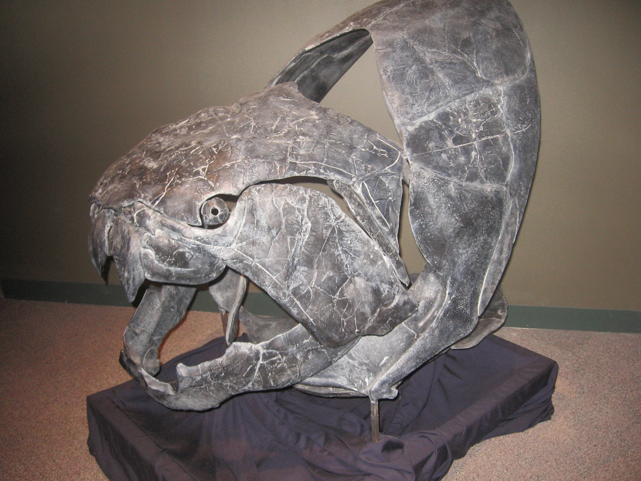 Dunkleosteus | Prehistoric Earth Wiki | Fandom