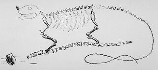 Mantell's Iguanodon restoration