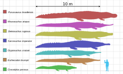 Deinosuchus size