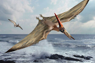 Pteranodon