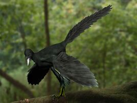 Archaeopteryx life restor