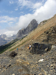 Burgess Shale Walcott Quarry