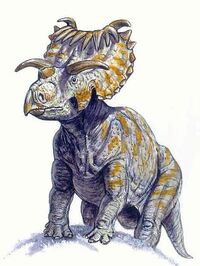 Kosmoceratops.jpg