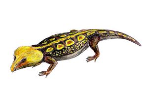 Labidosaurus life restoration