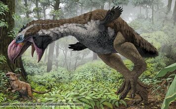 Gastornis BBC