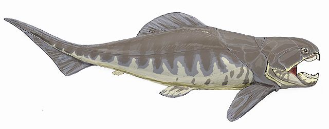 prehistoric armored fish
