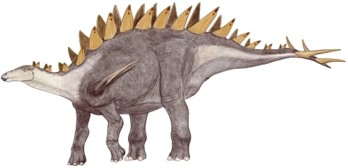 Tuojiangosaurus | Prehistoric Earth Wiki | Fandom