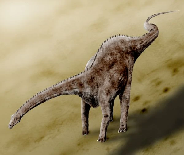 Diplodocus | Prehistoric Earth Wiki | Fandom Diplodocus | Prehistoric Earth Wiki | Fandom