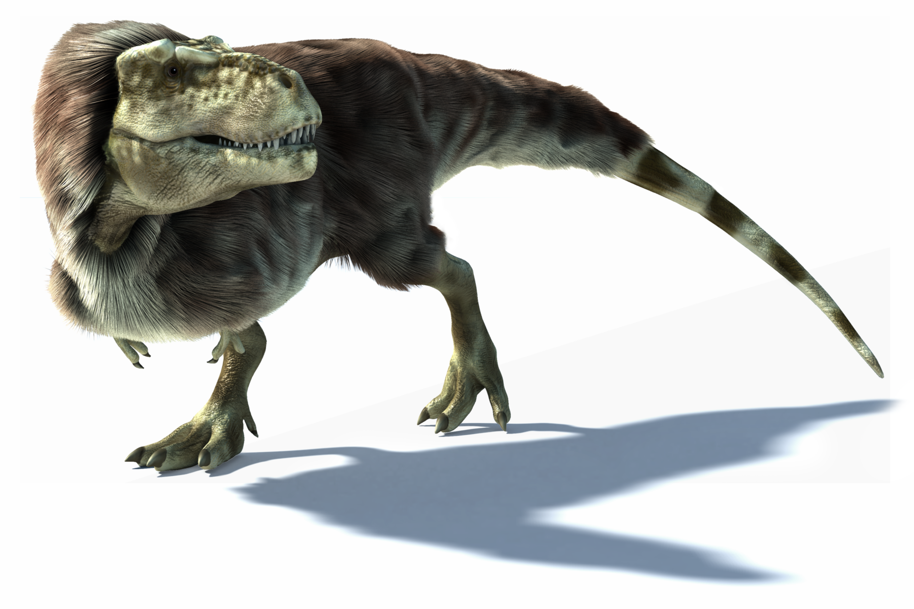 Tyrannosaurus, Dinosaur Wiki
