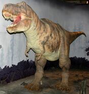 The T-rex in the Natural History Museum, London