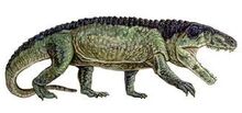 Erythrosuchus