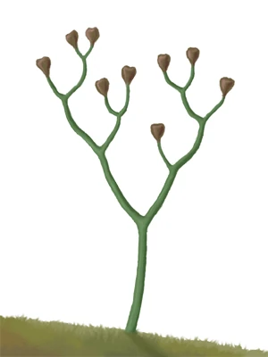grow your plant kit Complimentary Colors Grow Kits | Half-Pint Paint Planters main image 0