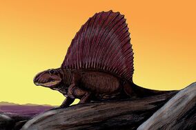 Dimetrodon