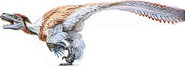 Dromaeosaurus