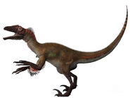 2-utahraptor-corey-ford