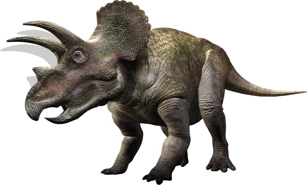 Triceratops | Prehistoric Monsters Wiki | Fandom Triceratops | Prehistoric Monsters Wiki | Fandom