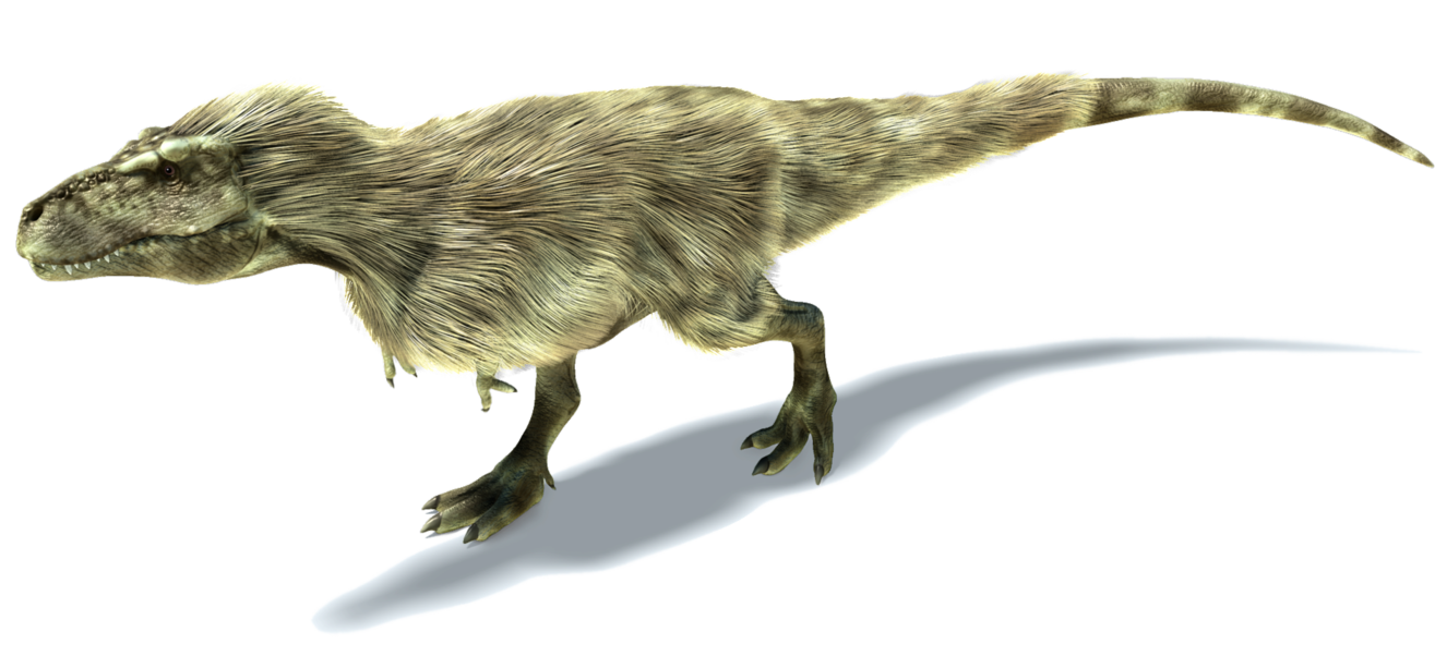 Tyrannosaurus, Dinosaur Wiki