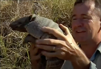 Nigel & Armadillo