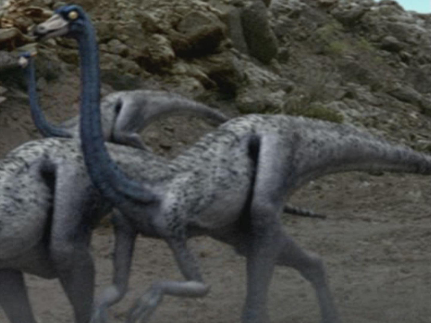 Ornithomimus | Prehistoric Park Wiki | Fandom Ornithomimus | Prehistoric Park Wiki | Fandom
