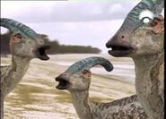 Parasaurolo