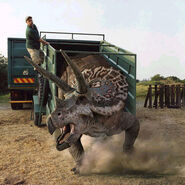 Bob in a promo image with Theo the Triceratops