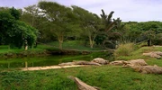 Prehistory visual data 2